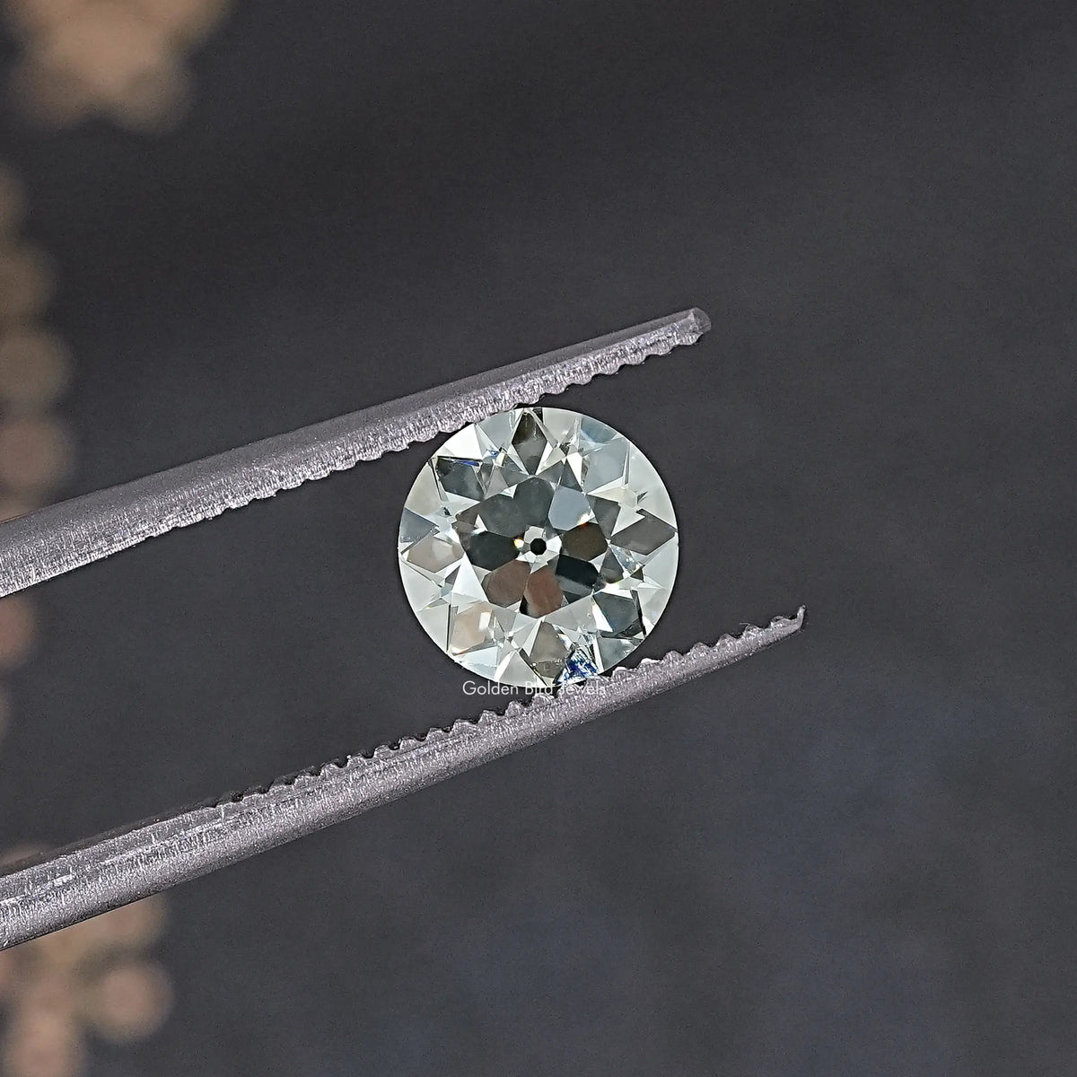 Old European round loose lab diamond in silver tweezers, angled side view