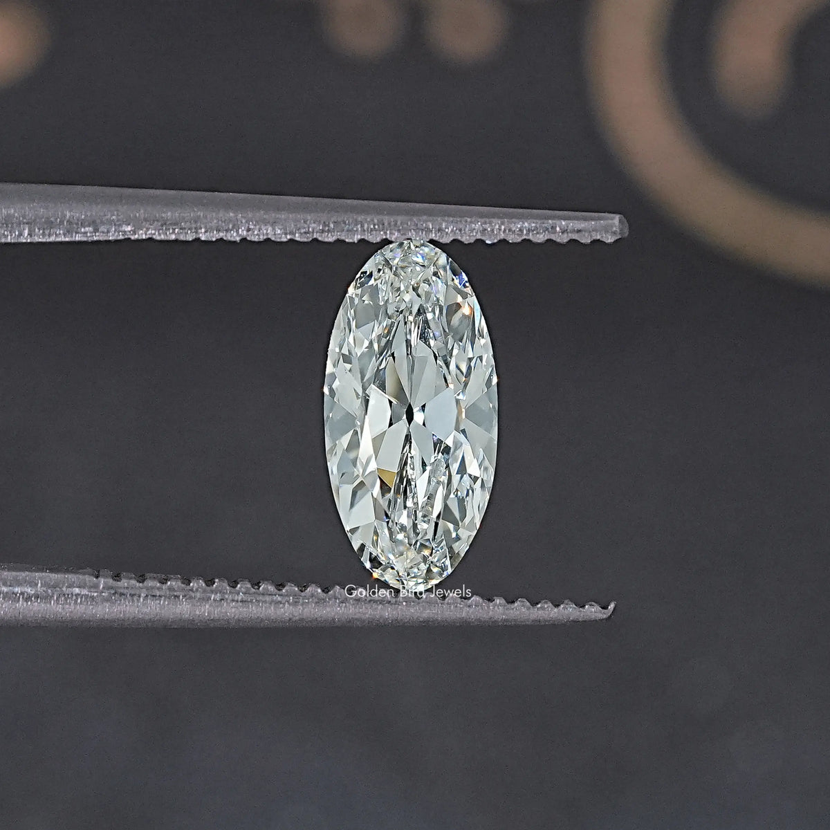 Macro view oval lab-grown diamond between metal rails
