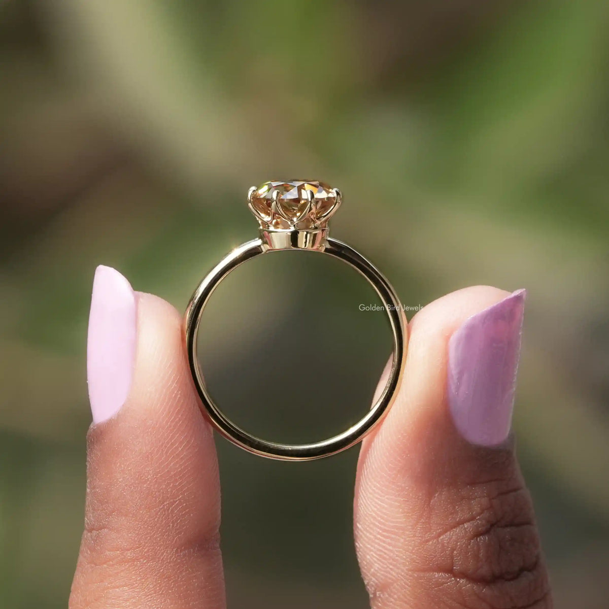 Back View of Champagne Round Cut Moissanite Solitaire Ring 