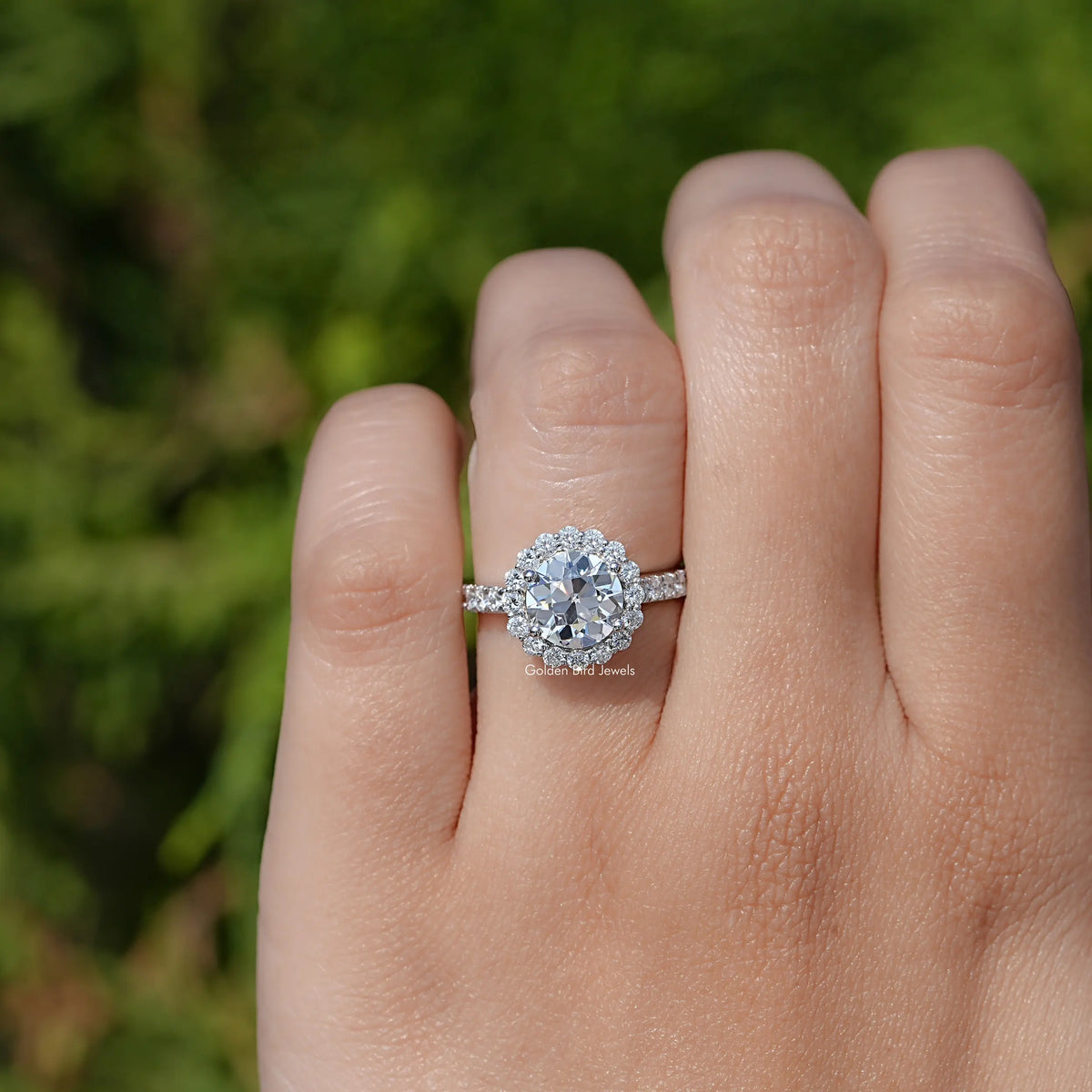Close view of Round Cut Lab Diamond Halo Ring   