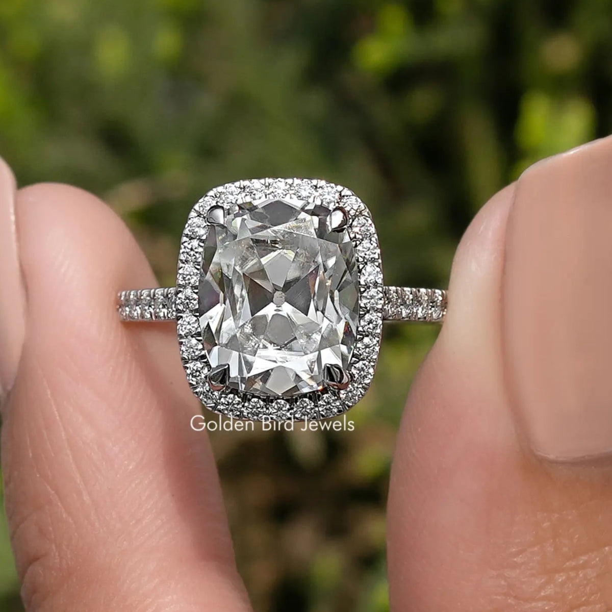 Front view of cushion-cut moissanite halo ring with split shank side stones