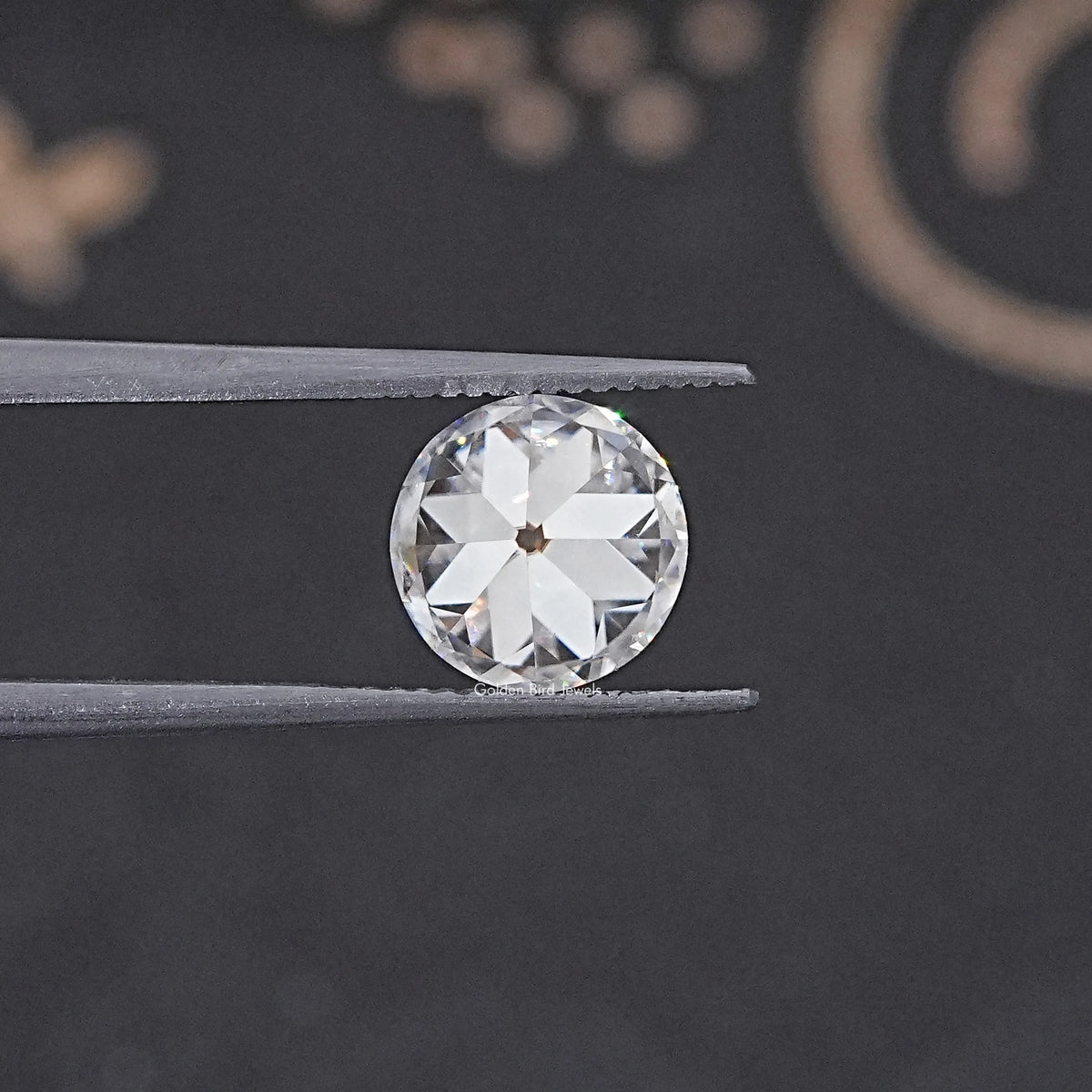 In Tweezer View Of European Round Loose Moissanite Stone